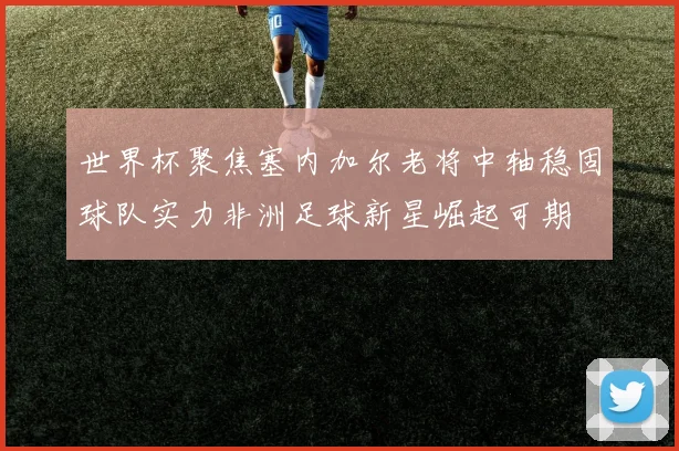 世界杯聚焦塞内加尔老将中轴稳固球队实力非洲足球新星崛起可期